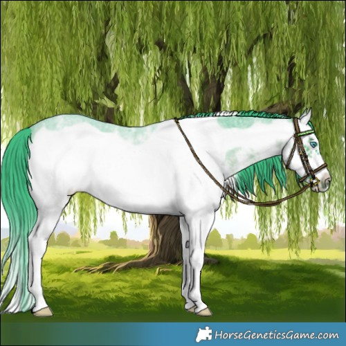 Horse Color:Watercolor White Spotted Brown Roan Splash Frame 