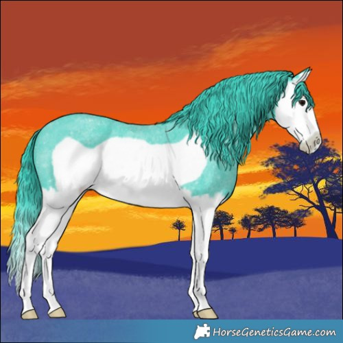 Horse Color:Watercolor Blue Roan Splash Frame