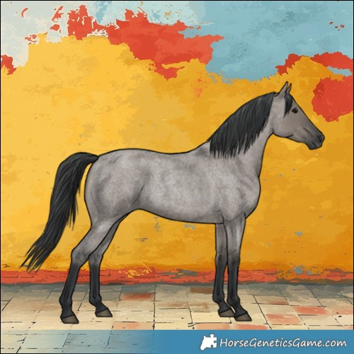 Horse Color:Grullo Roan Rabicano