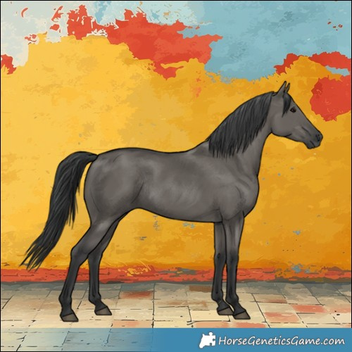 Horse Color:Grullo Rabicano