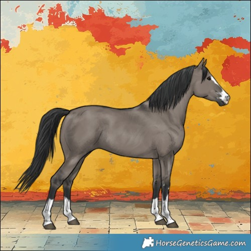 Horse Color:Grullo Rabicano