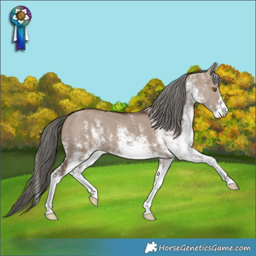 Horse Color:White Spotted Liver Red Dun Mushroom