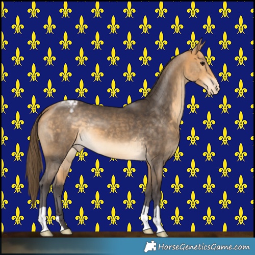 Horse Color:Buckskin Varnish 