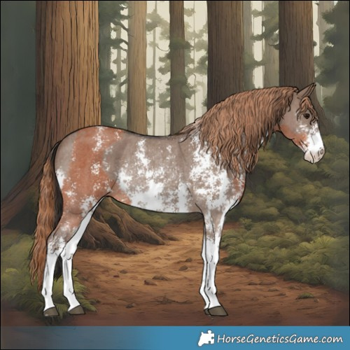 Horse Color:Bay Sabino Rabicano and Liver Red Dun Sabino Rabicano