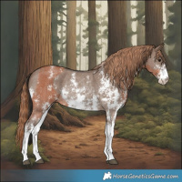 Horse Color:Bay Sabino Rabicano and Liver Red Dun Sabino Rabicano