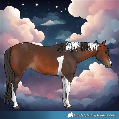 Horse Color:Bay Tobiano Rabicano 