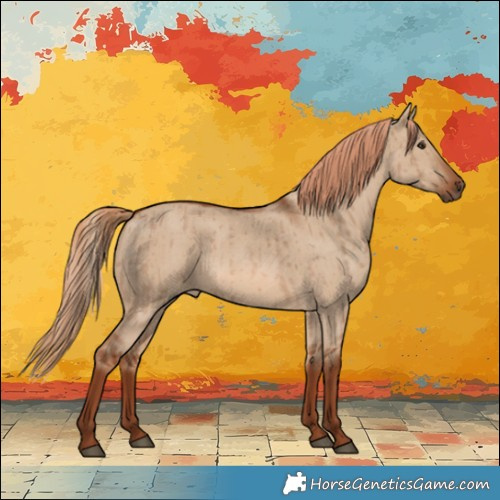 Horse Color:Red Dun Rabicano Brindle