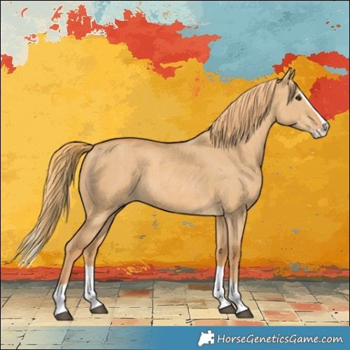 Horse Color:Red Dun Splash Rabicano Brindle 
