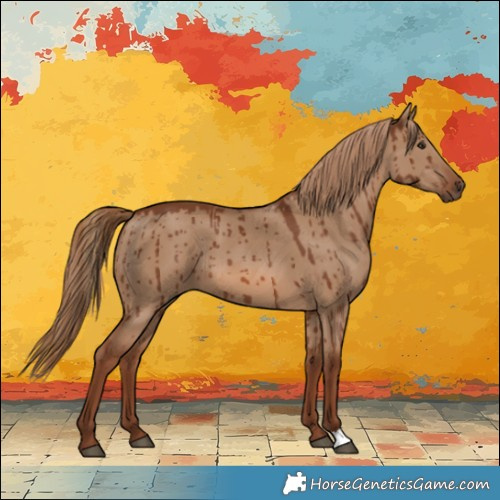 Horse Color:Red Dun Brindle