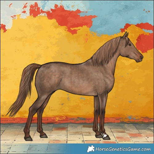 Horse Color:Liver Red Dun Rabicano Brindle