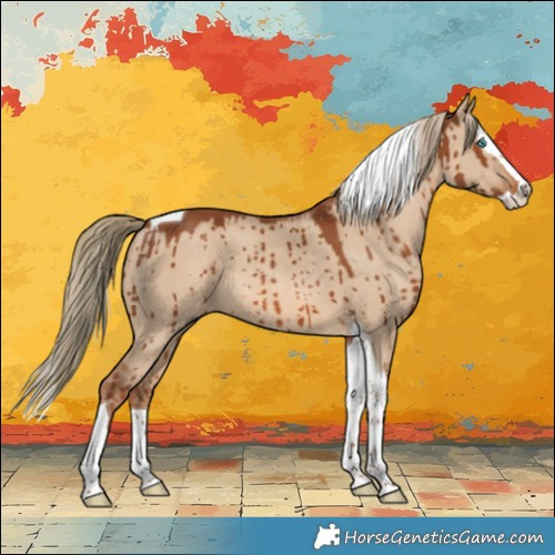 Horse Color:Red Dun Splash Tobiano Brindle 
