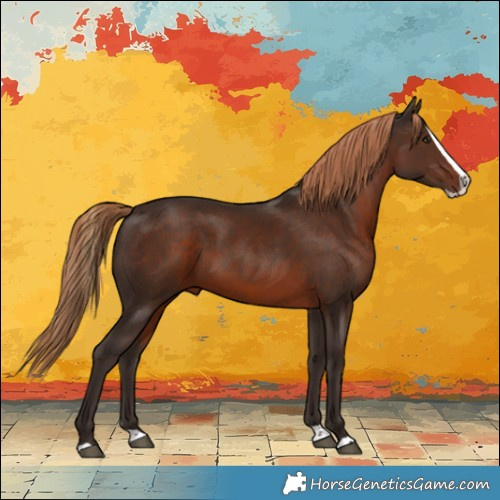 Horse Color:Liver Chestnut Splash Rabicano