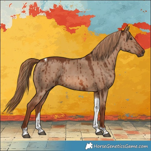 Horse Color:Red Dun Tobiano Rabicano Brindle
