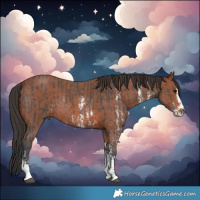Horse Color:Brown Sabino Rabicano  and Bay Sabino Rabicano 