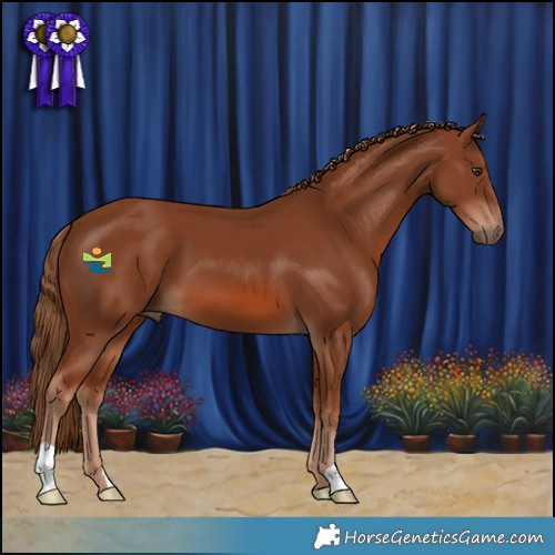 Horse Color:Chestnut 