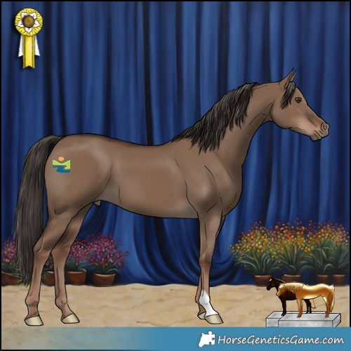 Horse Color:Liver Red Dun