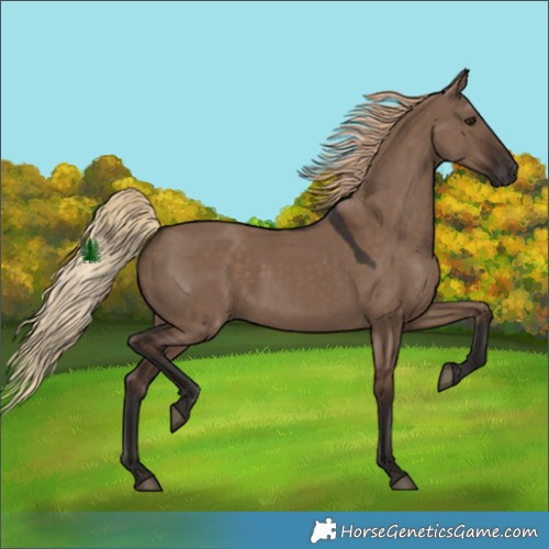 Horse Color:Liver Red Dun