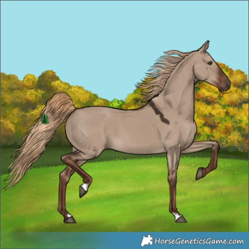 Horse Color:Liver Red Dun