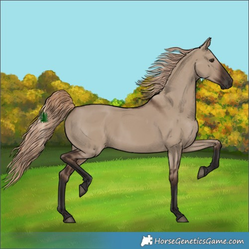 Horse Color:Liver Red Dun 