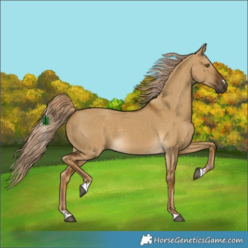 Horse Color:Chocolate Palomino Dun 