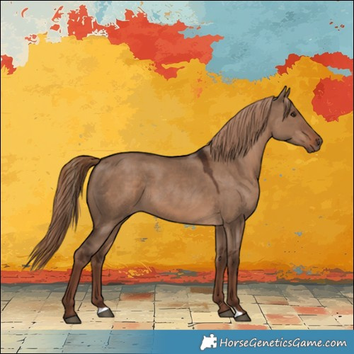 Horse Color:Liver Red Dun