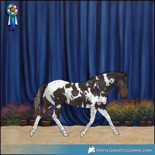 Horse Color:White Spotted Liver Chestnut Tobiano