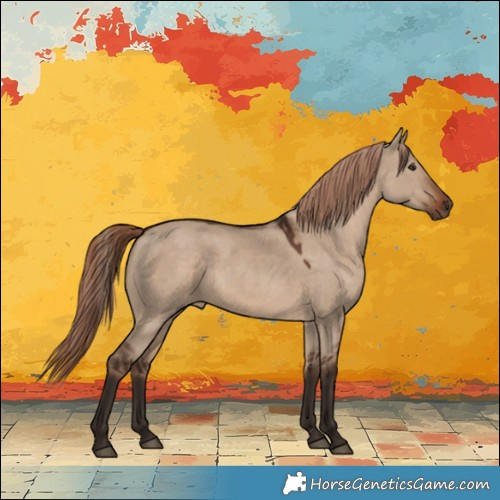 Horse Color:Liver Red Dun 