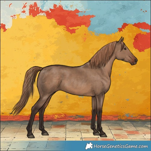 Horse Color:Liver Red Dun