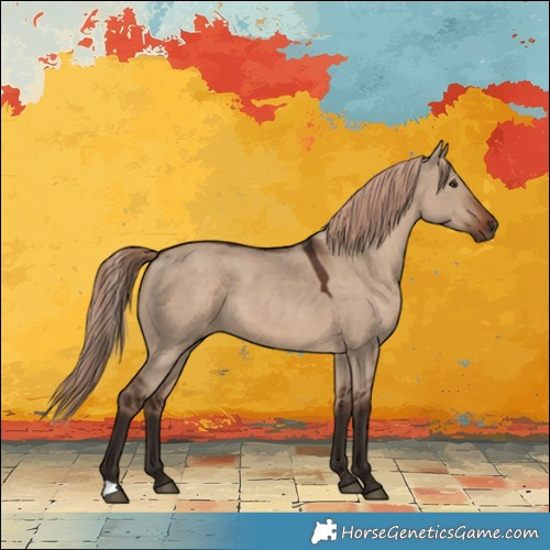 Horse Color:Liver Red Dun 