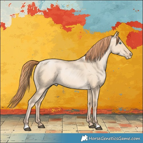 Horse Color:Brown Dun 