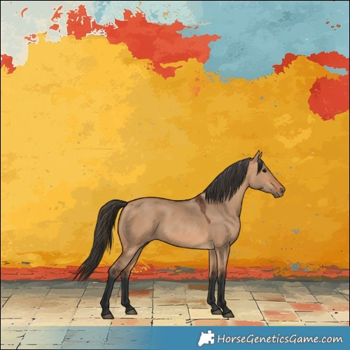 Horse Color:Bay Dun 