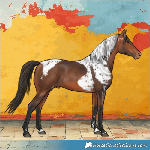 Horse Color:Bay Skewed LP Spotted 