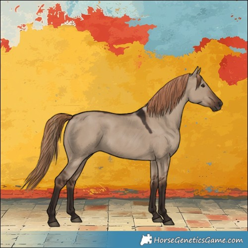 Horse Color:Liver Red Dun