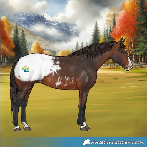 Horse Color:Brown Splash Snowcap