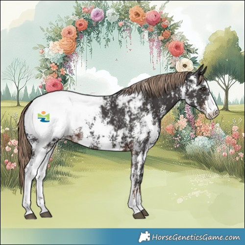 Horse Color:Liver Chestnut Sabino Near Fewspot 