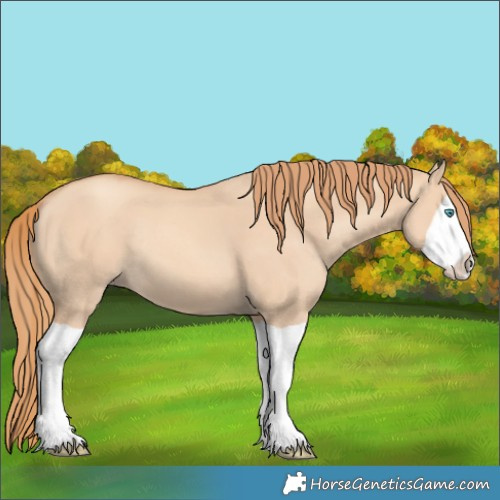 Horse Color:Gold Champagne Dun Splash Rabicano
