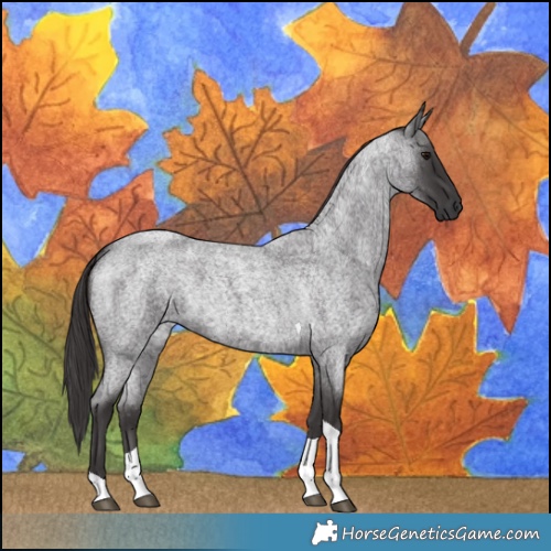 Horse Color:Smoky Blue Roan Tobiano 