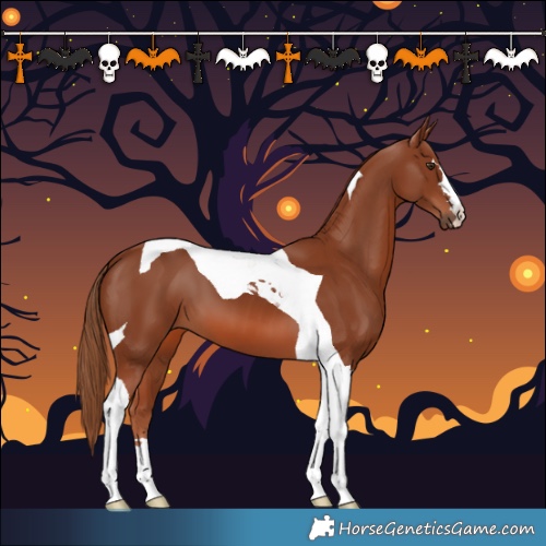 Horse Color:Chestnut Tobiano 
