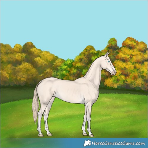 Horse Color:Perlino Tobiano 