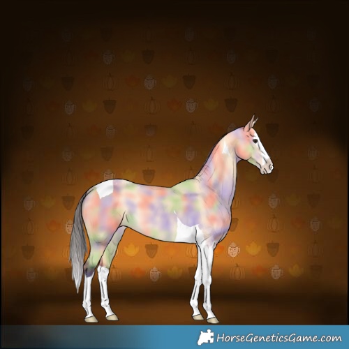 Horse Color:Nacre Buckskin Splash Tobiano