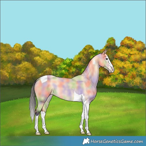 Horse Color:Nacre Buckskin Splash Tobiano 