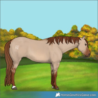 Horse Color:Red Dun 