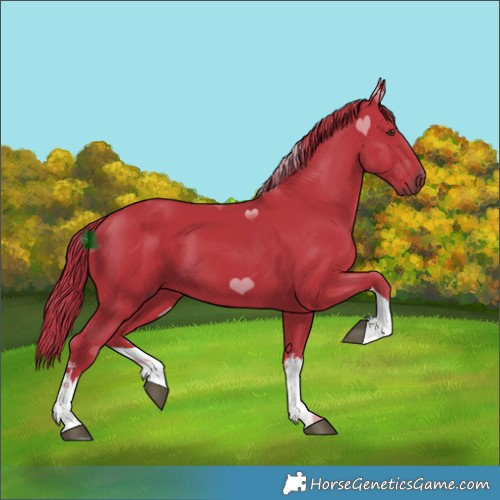 Horse Color:Watercolor White Spotted Liver Chestnut Tobiano 