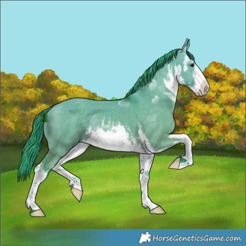 Horse Color:Watercolor White Spotted Brown Dun 