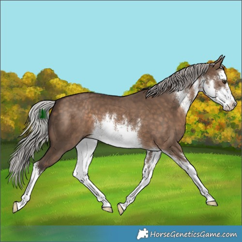 Horse Color:White Spotted Silver Brown Dun 