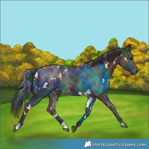 Horse Color:Nacre White Spotted Brown