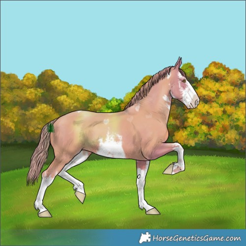 Horse Color:Watercolor White Spotted Gold Champagne
