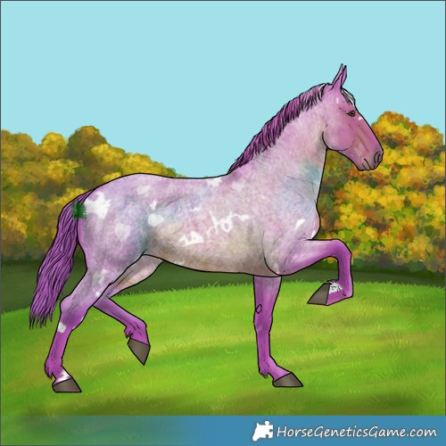 Horse Color:Watercolor White Spotted Liver Red Roan 