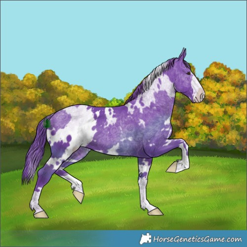 Horse Color:Watercolor White Spotted Liver Chestnut 