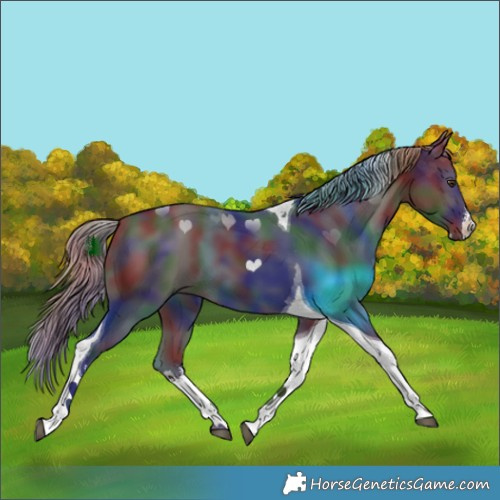 Horse Color:Nacre White Spotted Liver Chestnut Tobiano 